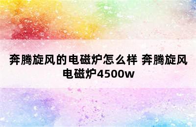 奔腾旋风的电磁炉怎么样 奔腾旋风电磁炉4500w